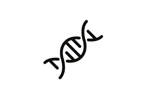 Business DNA - Cohort 1 - 2025